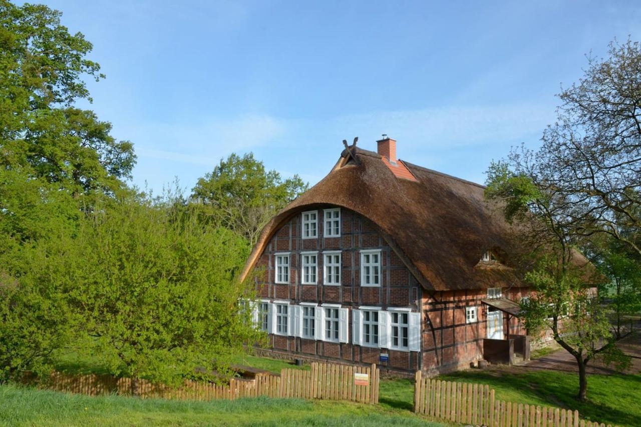 Deichkind - Reetdachhaus Direkt Am Elbdeich Apartment Modlich Exterior photo